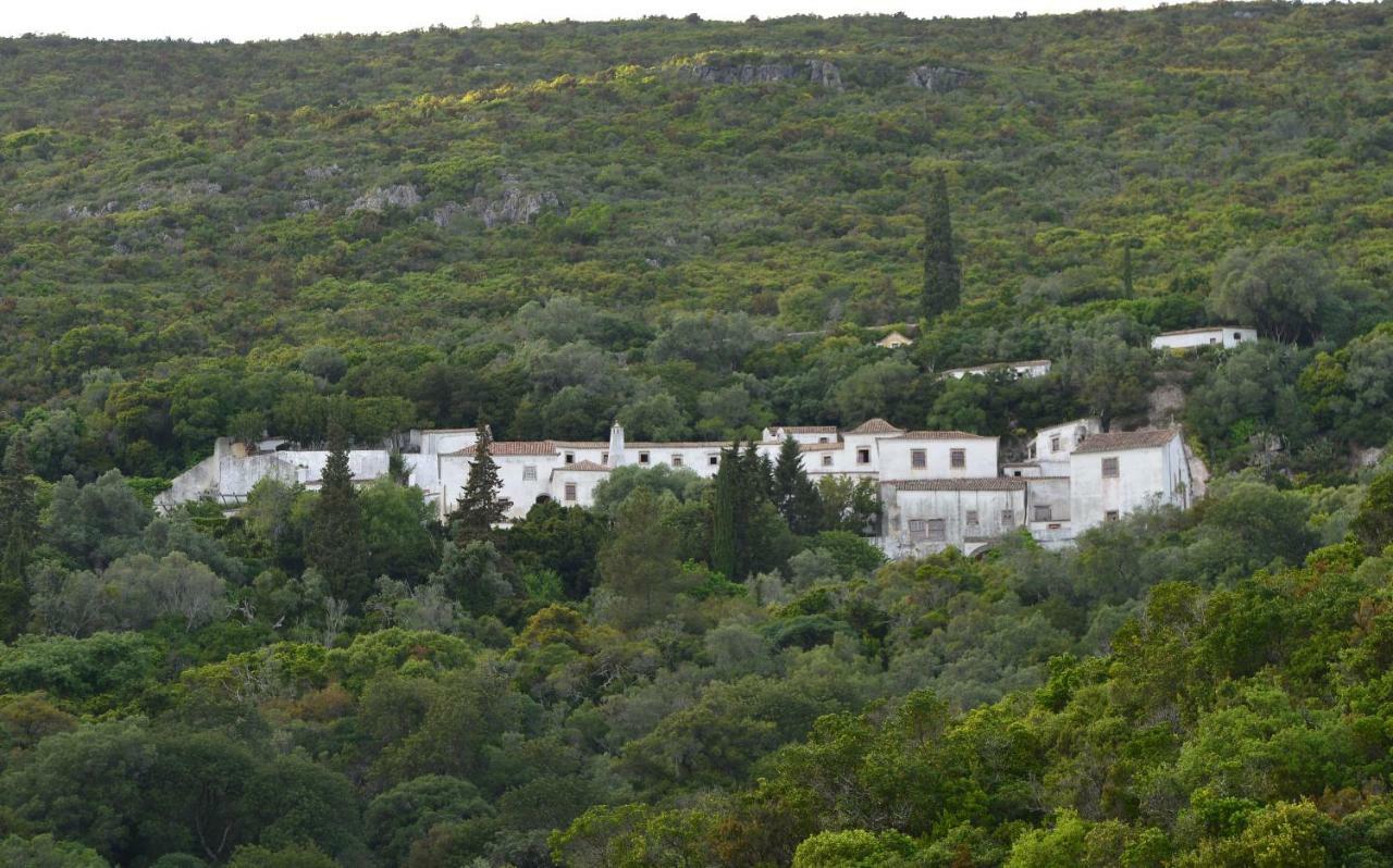 Quinta Villa Arrabida Vila Fresca Екстериор снимка